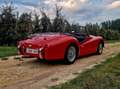 Triumph TR3 "concoursstaat" Rouge - thumbnail 8