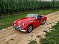 Triumph TR3 "concoursstaat" Rouge - thumbnail 13