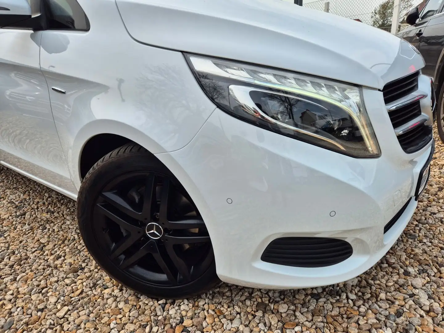 Mercedes-Benz V 220 Avantgarde 360 Grad LED AHK Extralang Alb - 1