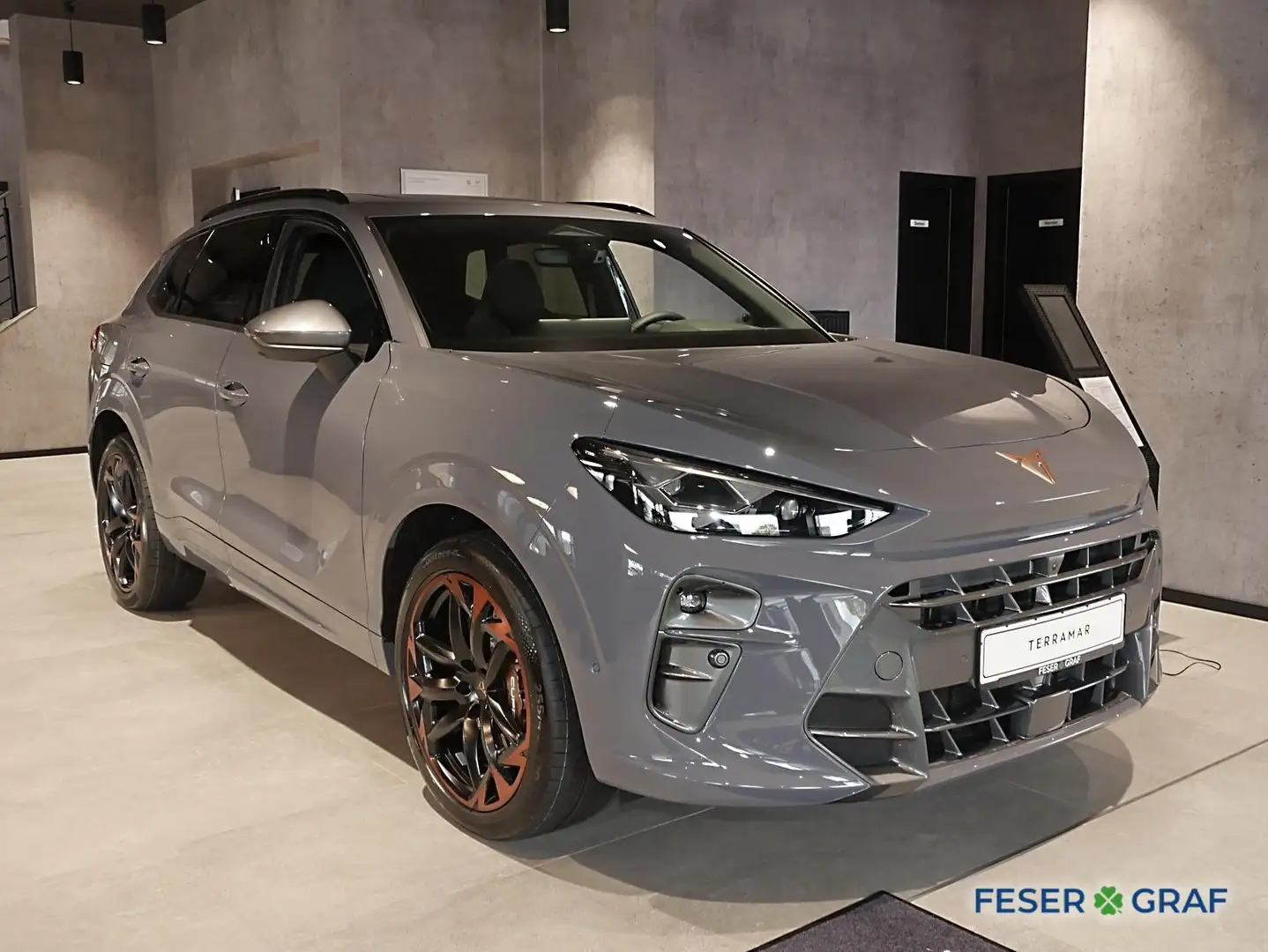 CUPRA Terramar DSG 4Drive Matrix LED,SHZ,LHZ, Alu-20` Gris - 2