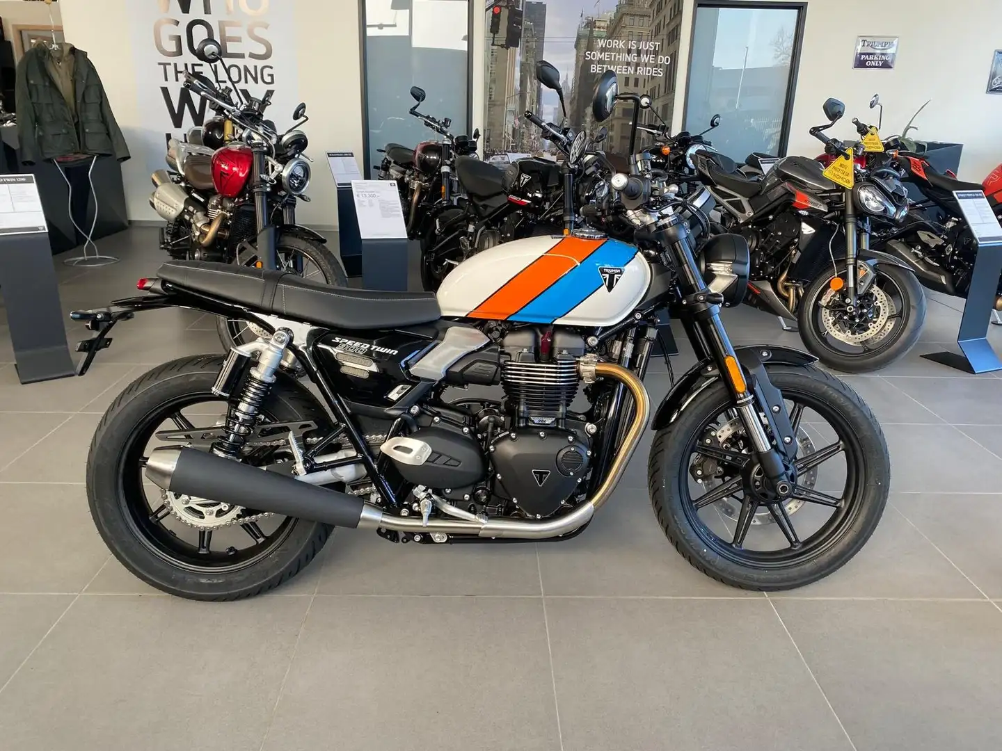 Triumph Speed Twin 900 Alb - 1