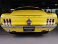 Ford Mustang GT390 4-speed Amarillo - thumbnail 34