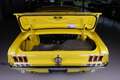 Ford Mustang GT390 4-speed Amarillo - thumbnail 33