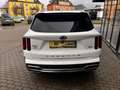 Kia Sorento 1.6 T-GDI PHEV AWD Aut. Platinum Weiß - thumbnail 11