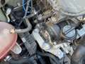 Fiat Panda 1.0 firefly hybrid City Life s&s 70cv Grijs - thumbnail 20