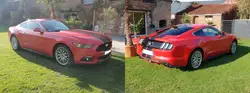 Ford Mustang Fastback 2.3 EcoBoost 317