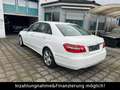 Mercedes-Benz E 350 4-Matic AVANTGARDE AUTOM. WEISS *TÜV NEU* Weiß - thumbnail 9