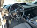 Mazda CX-30 CX-30 2.0 m-hybrid Executive 2wd 150cv 6mt Blanc - thumbnail 13