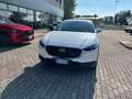 Mazda CX-30 CX-30 2.0 m-hybrid Executive 2wd 150cv 6mt Blanc - thumbnail 3