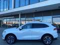 GWM WEY 03 2.0 PHEV Luxury 270 kW FWD - Top-Angebot! Weiß - thumbnail 4