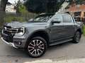 Ford Ranger Platinum e-4WD DoKa*ROLLO*AHK Gris - thumbnail 1