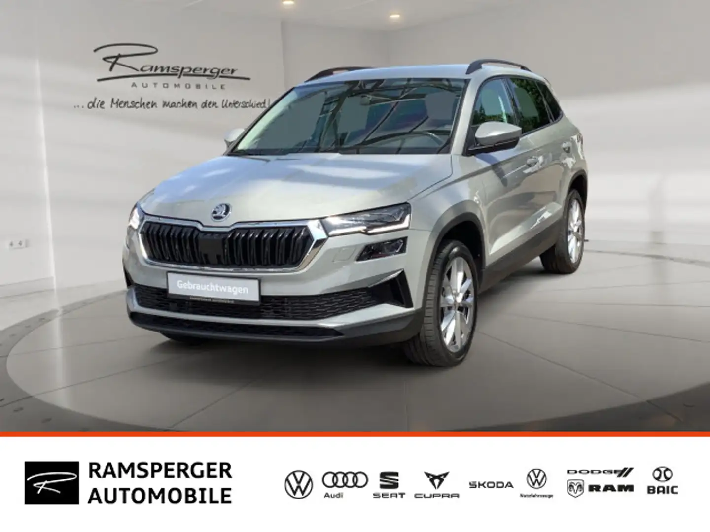 Skoda Karoq Style Grau - 1