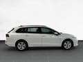 Volkswagen Golf Variant 1.5 TSI 6-Gang Life /AHK/CarPlay/LED Weiß - thumbnail 5