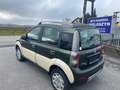 Fiat Panda Panda 4x4 Cross 1,3 16V JTD KLIMA Grün - thumbnail 8