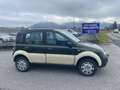 Fiat Panda Panda 4x4 Cross 1,3 16V JTD KLIMA Grün - thumbnail 5