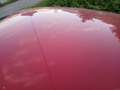 Peugeot 207 207 Active 1,6 16V Tiptronic Active Rot - thumbnail 6