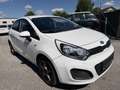 Kia Rio 1,2 CVVT Cool Weiß - thumbnail 2