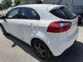 Kia Rio 1,2 CVVT Cool Weiß - thumbnail 5