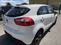 Kia Rio 1,2 CVVT Cool Weiß - thumbnail 4