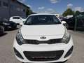 Kia Rio 1,2 CVVT Cool Weiß - thumbnail 3