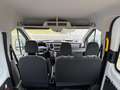 Ford Transit 9 POSTI automatico prezzo più iva Bianco - thumbnail 14
