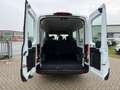 Ford Transit 9 POSTI automatico prezzo più iva Bianco - thumbnail 13