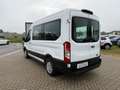 Ford Transit 9 POSTI automatico prezzo più iva Bianco - thumbnail 5