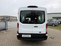 Ford Transit 9 POSTI automatico prezzo più iva Bianco - thumbnail 6