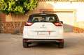 Renault Scenic Limited GPF TCe 103kW (140CV) - 18 Blanco - thumbnail 8