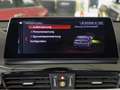 BMW X2 20d xDr HUD,Dach,AHK,Kamera,Abstandstempomat Grau - thumbnail 13