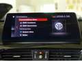 BMW X2 20d xDr HUD,Dach,AHK,Kamera,Abstandstempomat Grau - thumbnail 11