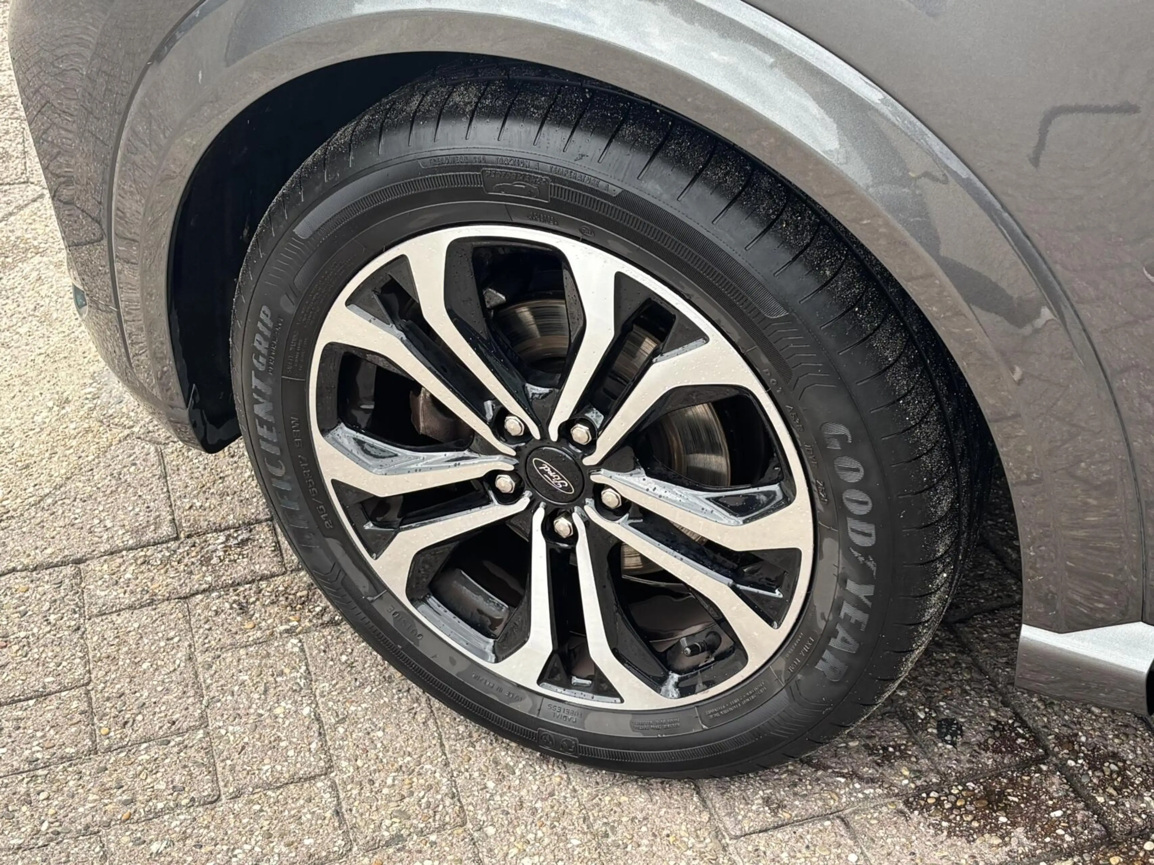 Ford Puma 1.0 EcoBoost Hybrid ST-Line 125PK Winterpack Cruis — photo 12
