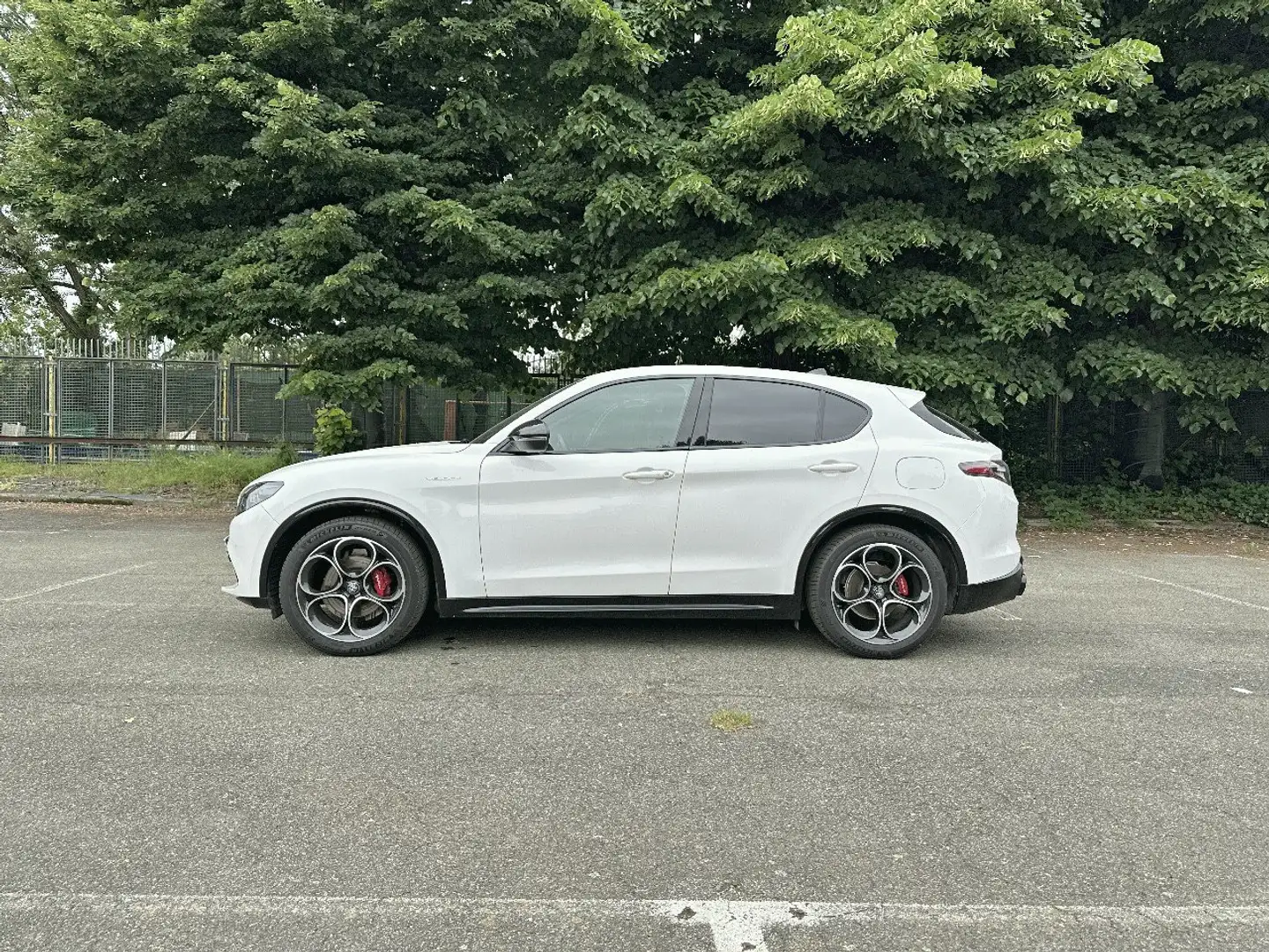 Alfa Romeo Stelvio 2.2 TD 210 CV Veloce AT8 Q4 Bianco - 2