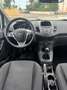 Ford Fiesta Fiesta VI 2013 5p 1.4 Business Gpl 95cv E6 - thumbnail 8