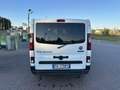 Fiat Talento Passo Lungo 6 posti White - thumbnail 6