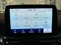 Ford Kuga 2.5 full hybrid ST-Line X AWD 190cv cvt Noir - thumbnail 19