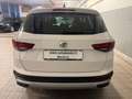 SEAT Ateca Ateca 2.0 tdi Xperience 4drive 150cv dsg Bianco - thumbnail 7