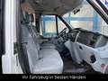 Ford Transit Kombi FT 350 Mixto AHK Tüv NEU Blanc - thumbnail 12