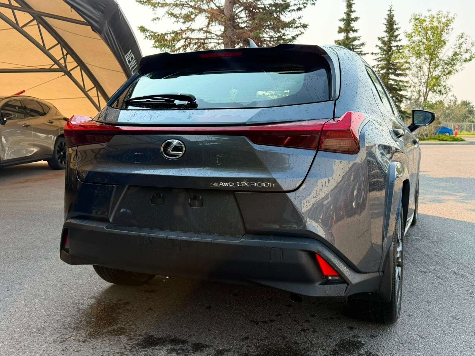 2026 Lexus UX — photo 1