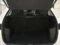 Mazda CX-5 2.2 L SKYACTIVE -D 150CV 4WD  EXCEED Bianco - thumbnail 11