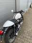 Triumph Thruxton 1200 Bílá - thumbnail 5