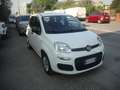 Fiat Panda 1.2 benzina 69cv Weiß - thumbnail 3