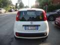 Fiat Panda 1.2 benzina 69cv Weiß - thumbnail 5