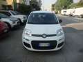 Fiat Panda 1.2 benzina 69cv Weiß - thumbnail 1