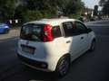 Fiat Panda 1.2 benzina 69cv Weiß - thumbnail 4