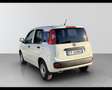 Fiat Panda 1.2 Pop Van 2 posti Bianco - thumbnail 4