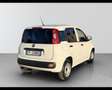 Fiat Panda 1.2 Pop Van 2 posti Bianco - thumbnail 6