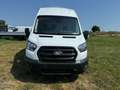Ford Transit 2.0 Ecoblue EK 350 L4H3 Trend Weiß - thumbnail 2