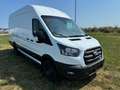 Ford Transit 2.0 Ecoblue EK 350 L4H3 Trend Weiß - thumbnail 3