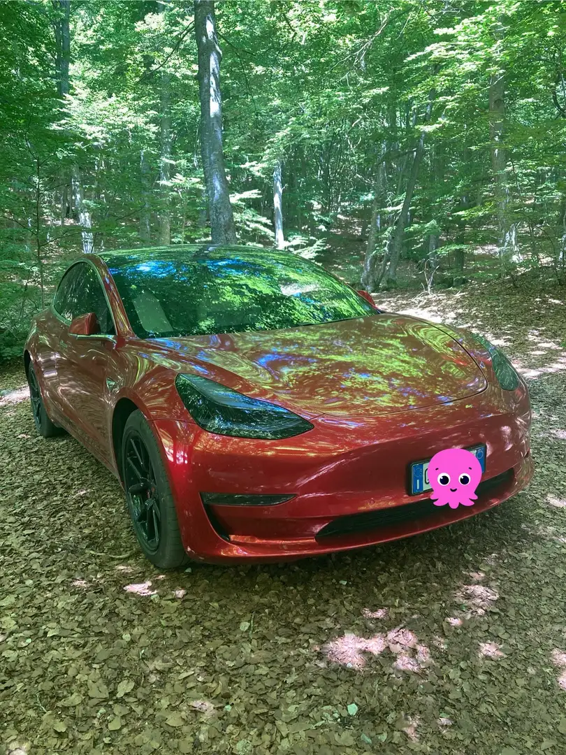 Tesla Model 3 Model 3 Long Range Dual Motor awd Rosso - 2